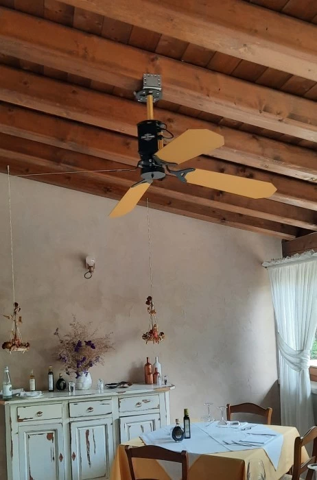 Ventilatore da soffitto Razzetti Italy GRAN TORINO